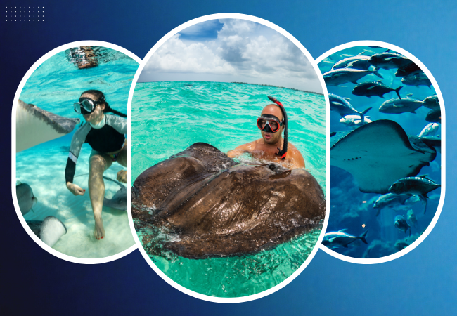 Morning Snorkeling Trip