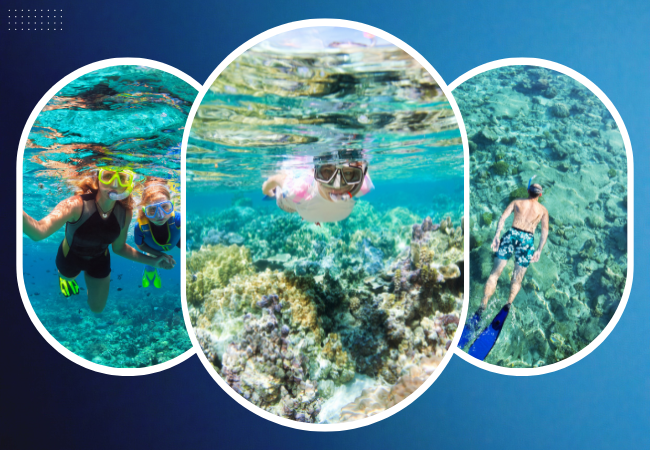 Afternoon Snorkeling Trip