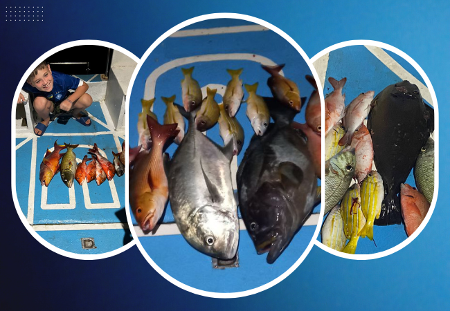 Sunset Fishing Adventure