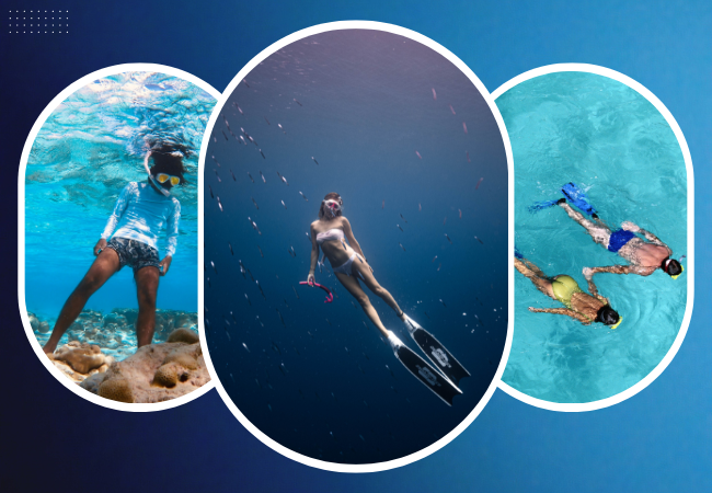 Afternoon Snorkeling Trip